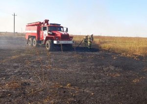 На Ставрополье подсчитали ущерб от сгоревшей на полях пшеницы