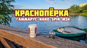 Как поймать краснопёрку на спиннинг? | Мормышинг с Gammarus