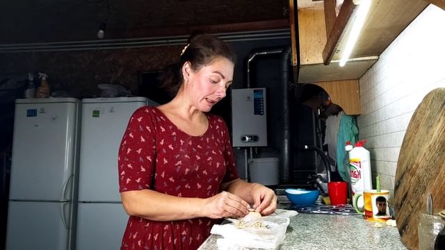 Режу перепелов новыми ножницами.Про породу селадон.Какие яйца селадонов.Продавцы обманывают