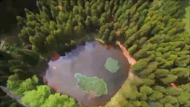 ПРОЙДИТЕ ТЕСТ ИЗ 5 ВОПРОСОВ: ВЫ ЖИВЕТЕ В НОВОМ ВРЕМЕНИ ИЛИ В СТАРОМ? смотреть онлайн