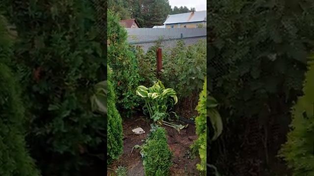 хоста Атлантис смотреть онлайн