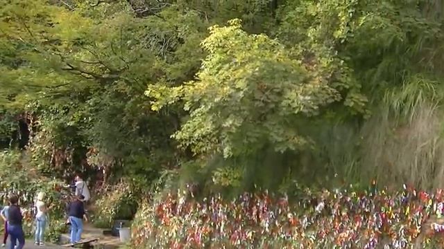 водопад Девичьи Слезы в Абхазии смотреть онлайн