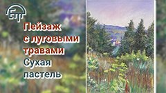 Пейзаж с луговыми травами. Сухая пастель