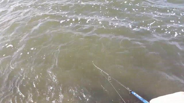 Ловля судака в марте.Судак на гнездах.Нерест смотреть онлайн