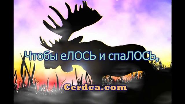 Прикольные Поздравления-Пожелания: Так повеЛОСЬ!