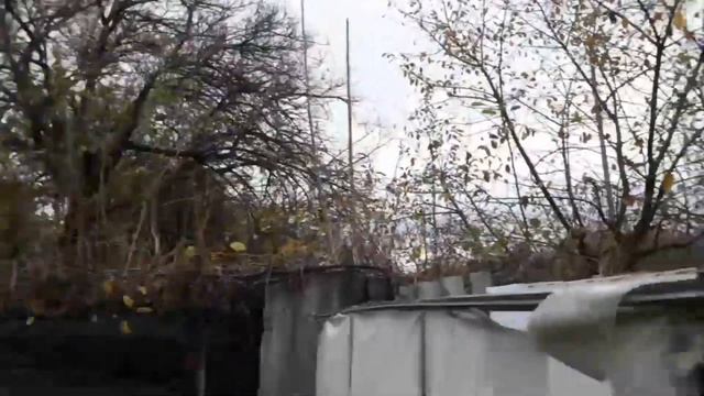 Неожиданно пришла зима / Укрываем виноград на зиму агроволокном / Собираем воду на весну / НАША ДАЧ смотреть онлайн