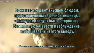 К чему снится Щука сонник, толкование сна