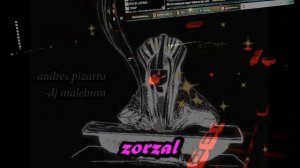 Zorzal (Rip Keller)  andres pizarro y dj malebran