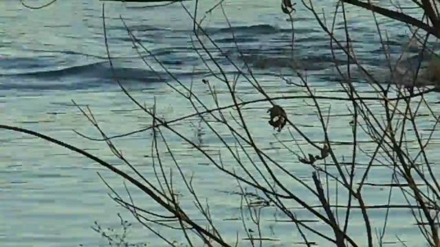 Nikon s3600 002 смотреть онлайн