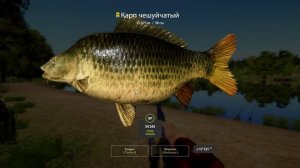 Russian Fishing 4 Клевая точка !! Старое место харошый клев! Трофф!🔥🔥🔥🔥🔥🔥🔥🔥🔥🔥🔥🔥🔥