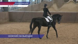Областные соревнования по конному спорту прошли в Нижнем Новгороде