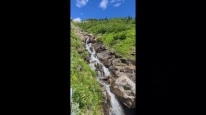 GLACIER PARK MONTANA