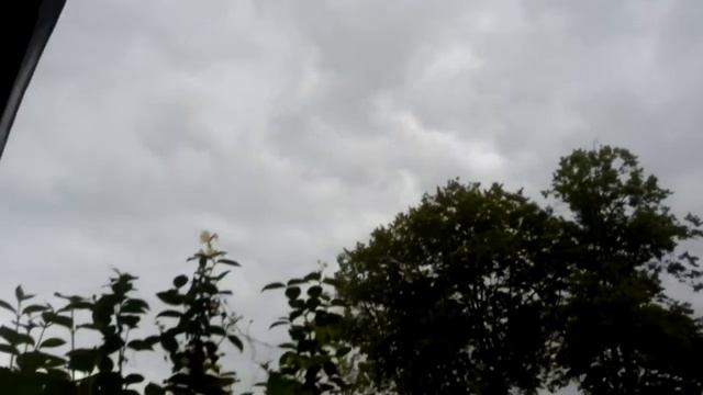 Чуть не убило деревом во время урагана | как спасти свою жизнь во время урагана смотреть онлайн