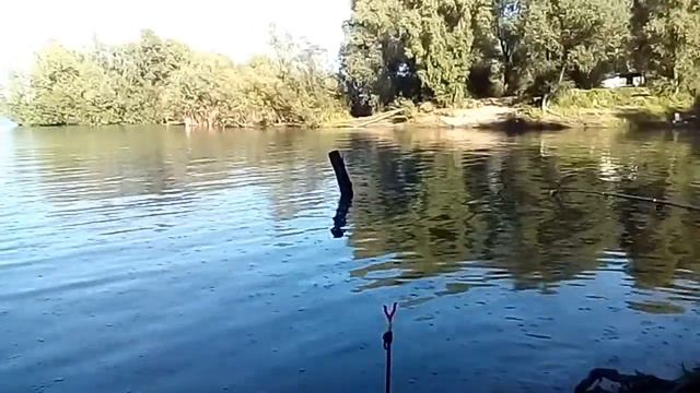 Дневник мачехи:ловим крокодилов//Рыбалка//Шашлык//Кормим уточек. смотреть онлайн