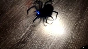 Игрушка-робот Паук на пульте управления