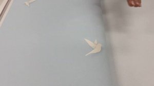 Видеообзор обоев Andrea Rossi "Spectrum" - (Южная Корея)