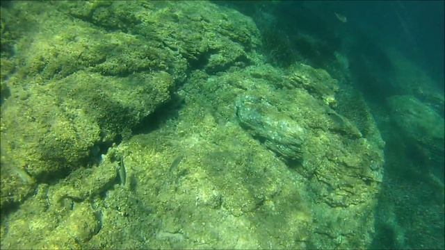 kanoe film смотреть онлайн