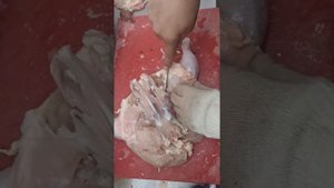 обвалка курицы для шаурмы. правильное мясо для вертиля. обвалка.