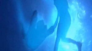 Виши Я хочу тебя любить Голубая лагуна