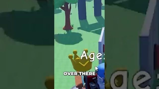 Roblox But Every Second You Get Older