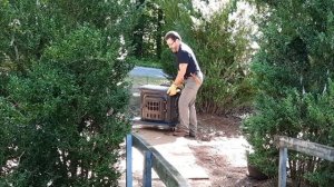 OLD RUSTY Cast Iron PARLOR STOVE - Simple Restoration