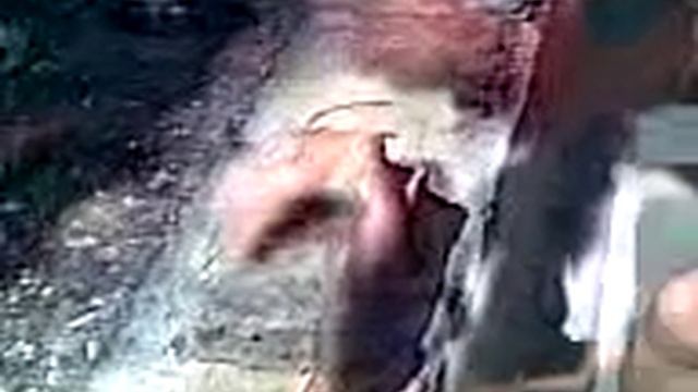 Тамесивари. Мой второй кирпич. смотреть онлайн