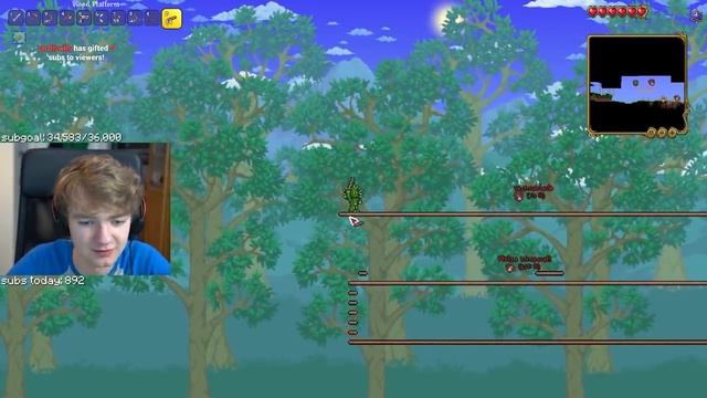 Terraria with Technoblade! смотреть онлайн