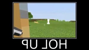 WHAT,HOW,MINECRAFT