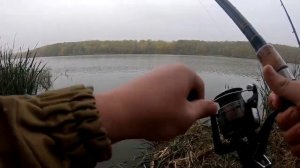 Рыбалка ранним утром. Ловля карася на кормаки.