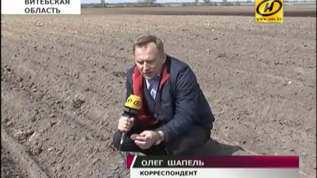 Сельхозпредприятия Беларуси приступили к посадке картофеля смотреть онлайн