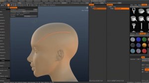 3DCoat(TIP №15) Кривые. Сurves