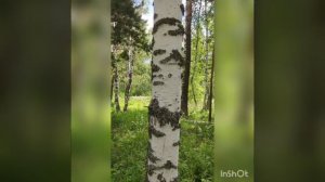 Россия. Башкирия. село Зилаир.июль 2022