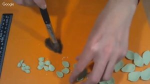 суккуленты холодный фарфор.mp4