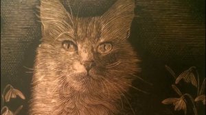 BOETHIUS - Sie war immer die Katze