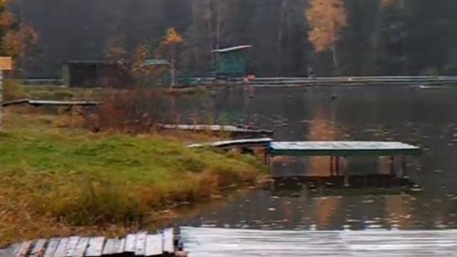 В Хомяково 1 смотреть онлайн