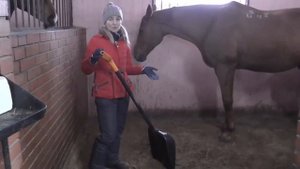 Уборка денника лошади