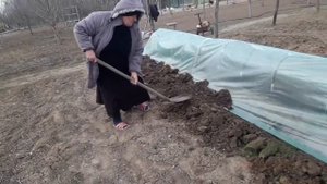 Готовим парник под огурцы часть 2