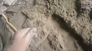 #163 Бетонные полы по грунту в сельском доме.