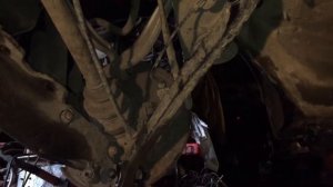 Замена задних нижних рычагов, ремня, а также обгонной муфты генератора на Mercedes-Benz W220 S320cd