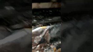 Пеллета топливная, тест горение