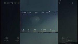 Нинген ( Ningen ) Странный кит Антарктиды ( Strange whale of Antarctica)