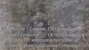 Приметы Кукушка, народные приметы