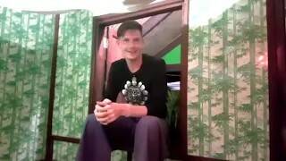 31 декабря 2016 г. Виталий гиберт приглашает вместе отметить новый год! смотреть онлайн