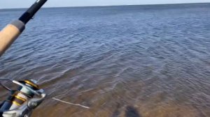 ЛУЧШАЯ РЫБАЛКА В САНКТ-ПЕТЕРБУРГЕ !!!)))