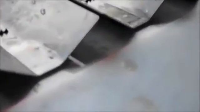 Линия потрошения форели