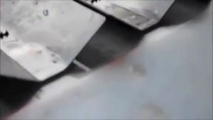 Линия потрошения форели
