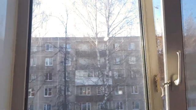 Простые Ремонты gtx 1080ti смотреть онлайн