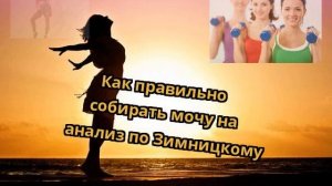 Как правильно собирать мочу на анализ по Зимницкому