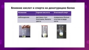 Биология. 10 класс. Денатурация и ренатурация белков /18.09.2020/