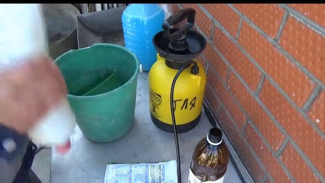 Как приготовить бордоскую смесь и ее применение весной смотреть онлайн